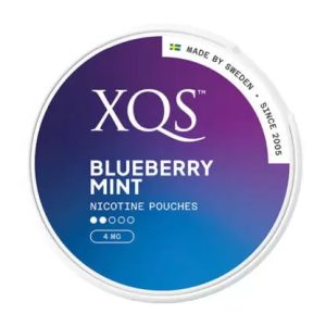 Bild på XQS Blueberry Mint.