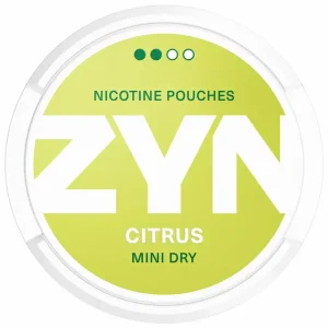 Bild på Zyn Citrus Mini Dry.